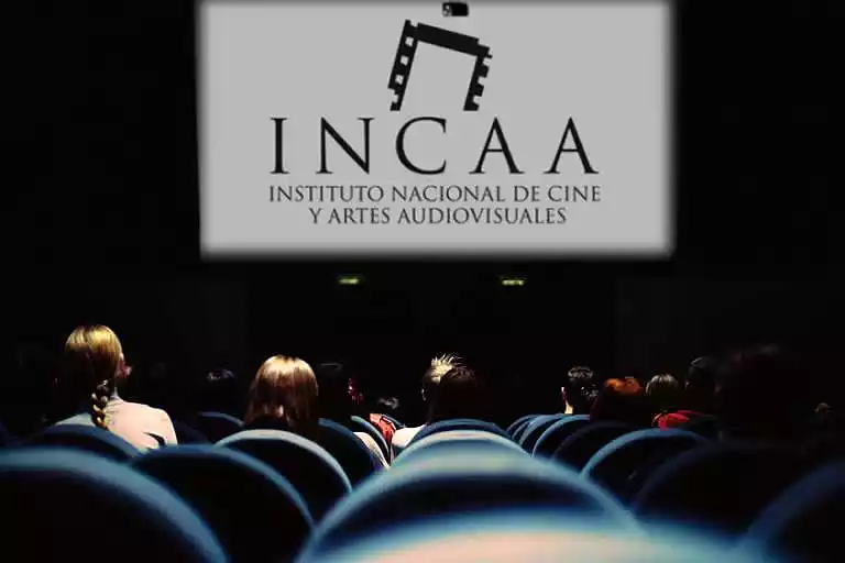 El INCAA subsidió películas